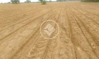 Imagem 7: Linda propriedade em Jangada MT a venda, com 250 hectares, terra de primeira! Próximo da c