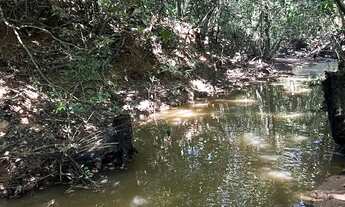 Imagem 5: SITIO LINDO PARAISO EM CUIABA 16,8 Hect