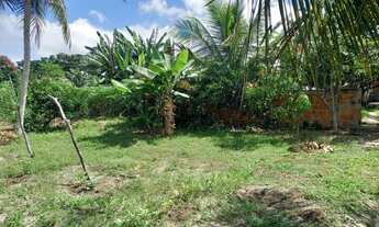 Imagem 7: Sitio Chácara com venda por R$190.000