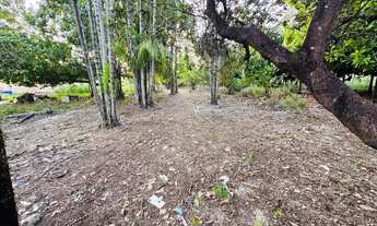 Imagem 4: Terreno bem arborizado