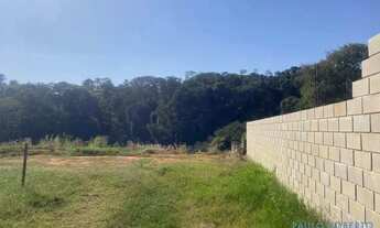 Imagem 6: TERRENO - SANTA CÂNDIDA - SP