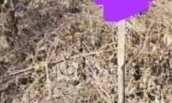 Imagem 5: Terreno à venda, 1188 m² por R$ 529.000,00 - Anil - Rio de Janeiro/RJ