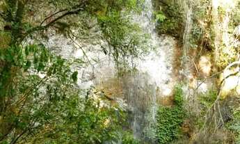 Imagem 4: Sitio - Bairro Santa Terezinha