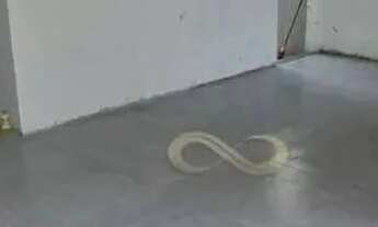 Imagem 5: Casa Residencial à venda, Caça e Pesca, Gravataí - CA0275