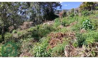 Imagem 6: Terreno NOVA FRIBURGO - RJ