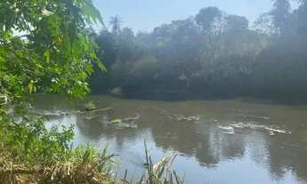 Imagem 2: Chácara de 20.000M² em Florestal - MG