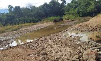 Imagem 4: Fazenda 137 Alqueires na Lavoura!