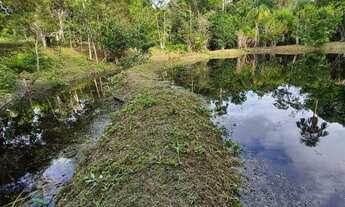 Imagem 2: Presidente Figueiredo