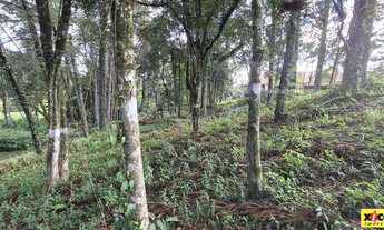 Imagem 3: Terreno para Venda em Nova Petrópolis, Piá