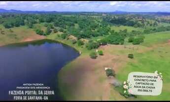 Imagem 5: Fazenda para Venda em Feira de Santana, Área Rural de Feira de Santana, 7 dormitórios, 7 s