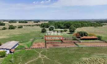 Imagem: Fazenda 450 alqueires (2.178 hectares) Crixás