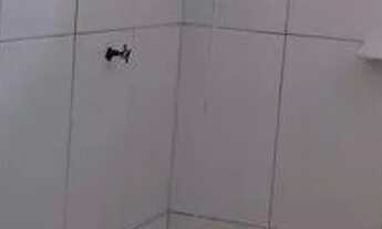 Imagem 6: Casa d excelente Localização proximo ao mar