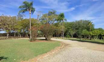 Imagem 5: Sítio a venda com 13 alqueires