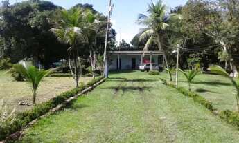 Imagem 6: Terreno na pista da AM-010, Km 51 com 1.000.000m2 - 860 mts de frente. Menor Preço. Docume