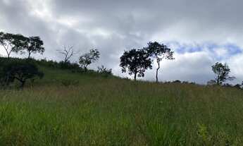 Imagem 7: Arrendo fazenda 32 alqueires toda formada brachiaria