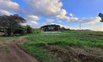 Imagem 6: TERRENO à venda com 67146m² por R$ 3.500.000,00 no bairro Colônia Faria - COLOMBO / PR
