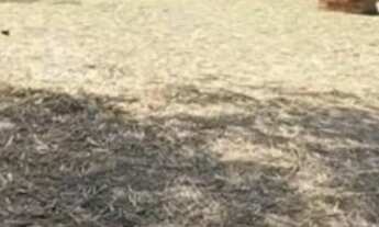 Imagem 3: Rancho Colinas do Sul 223.000M²