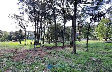 Imagem 9: Terreno a venda Cond. Parque Alvorada com 1.875m²