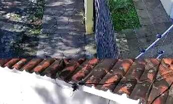 Imagem: Casa ampla e pátio amplo