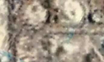 Imagem 6: Bairro de Lourdes Fortaleza - Terreno a Venda