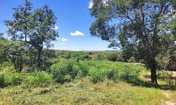 Imagem 2: Chácara 5000m² 17 km do Industrial, C/Casa, Energia, Internet e Agua Corrente, R$ 280.000