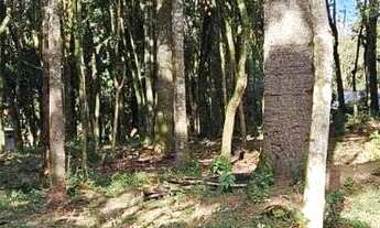 Imagem 3: Vende linda chácara São José pinhais ou troca imovel matinhos caioba