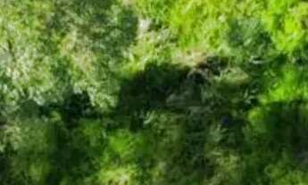 Imagem 5: Terreno residencial para venda em Três Montanhas , 1,000m²