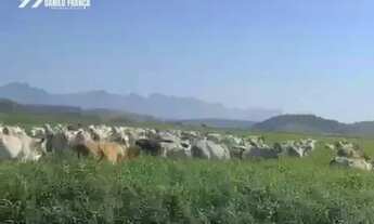 Imagem 5: Vende-se excelente Fazenda no município de Presidente Kennedy - ES