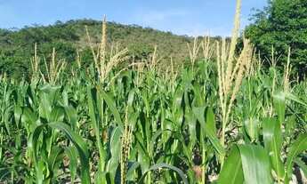 Imagem 6: Fazenda modelo em Planaltina Goias