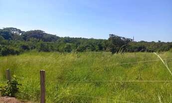 Imagem: Chácara de 2,9 hectares toda no cerradão