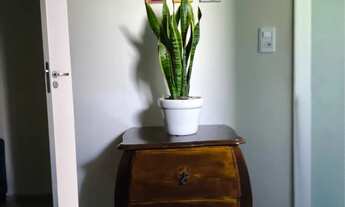 Imagem 6: Aluga-se casa para diária