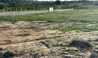 Imagem 3: Terreno em Brotas Murado