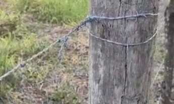 Imagem 5: Vendo uma excelente chácara de 20milm2