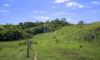 Imagem 7: Chácara em Santa Isabel