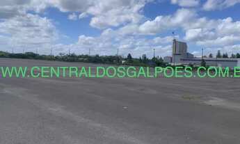 Imagem: Galpão/Depósito/Armazém para aluguel