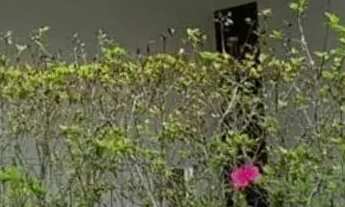 Imagem 4: Casa de condomínio em Rua Aprovada 668 - Costa do Sol - Bertioga/SP