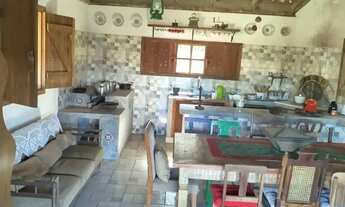 Imagem 6: Chácara a venda com casa, poço artesiano e 2 tanques em Contenda - PR