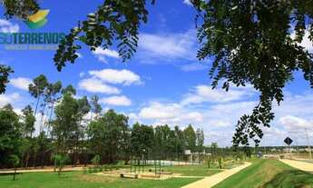 Imagem 12: Terreno à venda, 797 m² por R$ 1.195.000,00 - Condomínio Florais do Valle - Cuiabá/MT