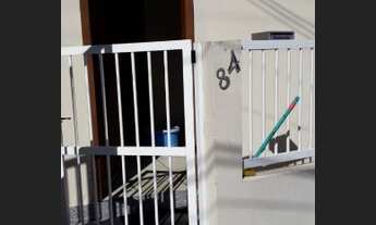 Imagem 5: Kitnet mobiliada próximo a UFSC e Centro