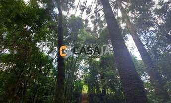 Imagem 7: CAMPO LARGO - Casa Padrão - SÃO MARCOS