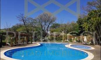 Imagem 5: Terreno - Engenho Seco - Louveira