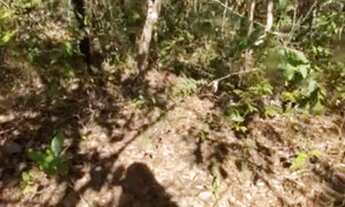 Imagem: VENDO CHÁCARAS PARCELADAS PX A COCALZINHO