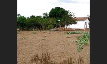 Imagem 2: Vede se sitio depois d agrovila30 klm