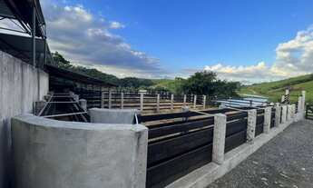 Imagem 3: 35 ALQUEIRES PRONTO PROXIMO A CIDADE DE CAMPOS