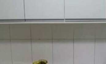 Imagem 7: Apartamento à venda na Avenida Automóvel Clube, Jardim José Bonifácio, São João de Meriti