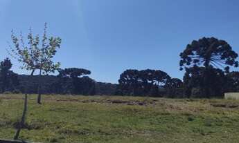Imagem 4: Terreno URBANO com 1436 m² no Centro de Campo Alegre - SC