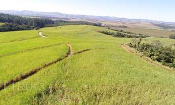 Imagem 5: Fazenda - Área Rural de Mogi Mirim - Mogi Mirim