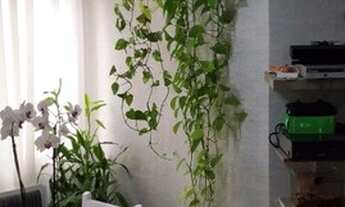 Imagem 7: Apartamento - Vila Formosa / 3 dormitórios