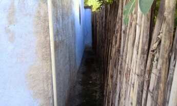 Imagem 6: Chácara com Casa e Várias Plantações Watssap