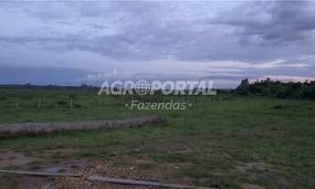 Imagem 2: Fazenda no Pará - Acará - 323 ha (66 alq